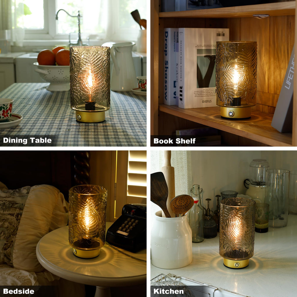 Cordless Lamps Rechargeable Battery Operated lamp,Glass Table Lamp Remote Control-Dimmable Brightness Touch Wireless