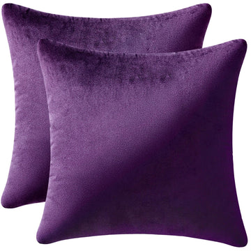 Velvet Throw Pillow Covers 22x22 Inch Pack of 2 Eggplant Purple