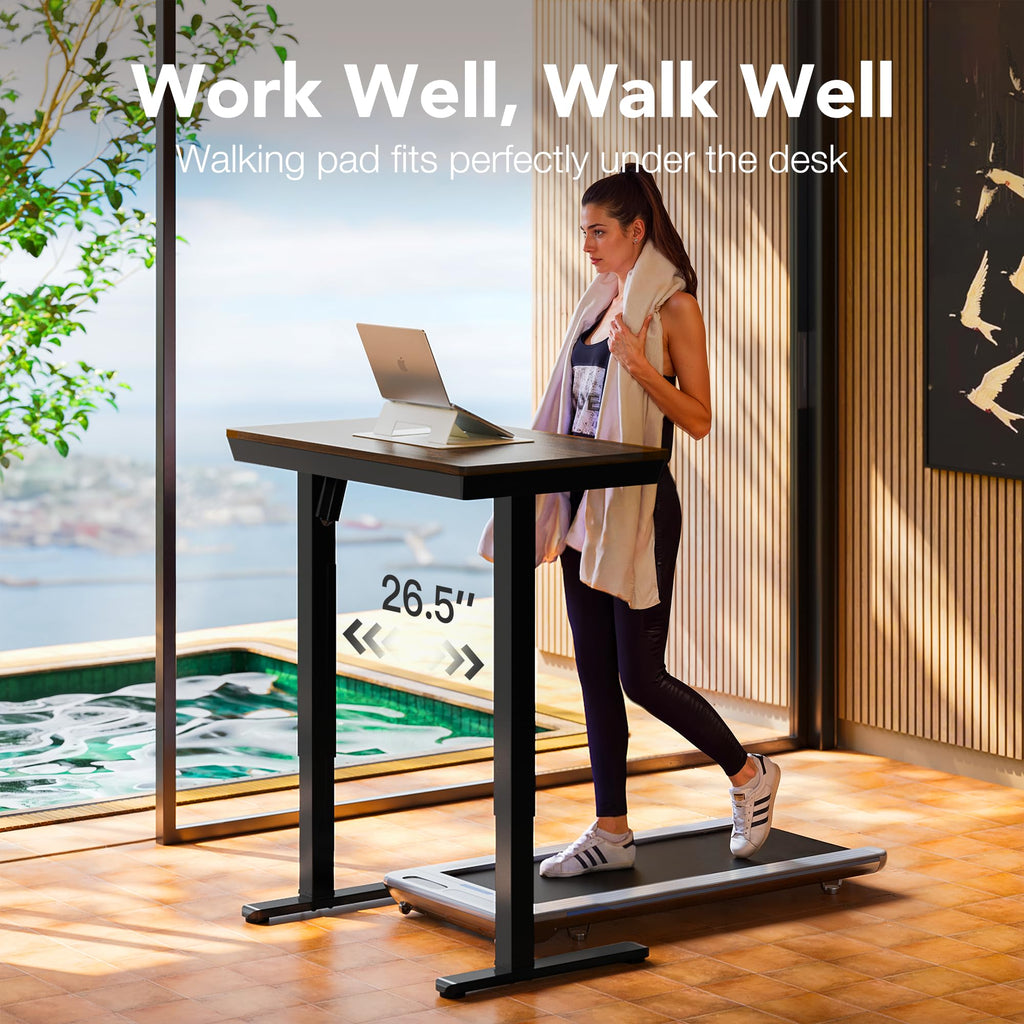 Electric Standing Desk with Drawers, 48 X 24 Inch Electric Adjustable Height Desk, Quick Install One-Piece Tabletop