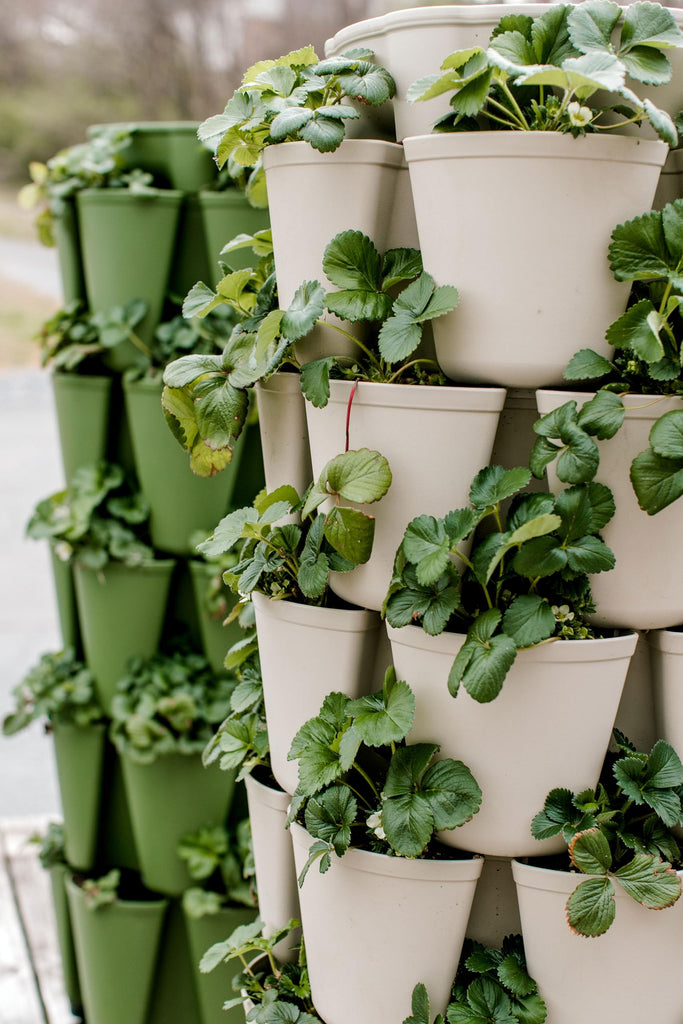 7 Tier Leaf Planter (Stunning Stone)