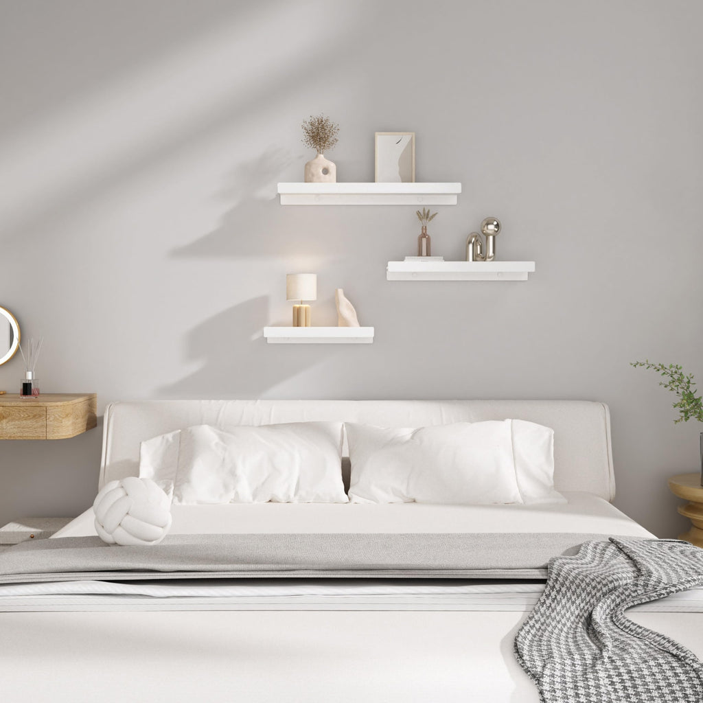 Floating Shelves for Wall, Wall Mounted Shelves with Lip for Storage, Metal Display Shelves Decor, Kitchen/Living