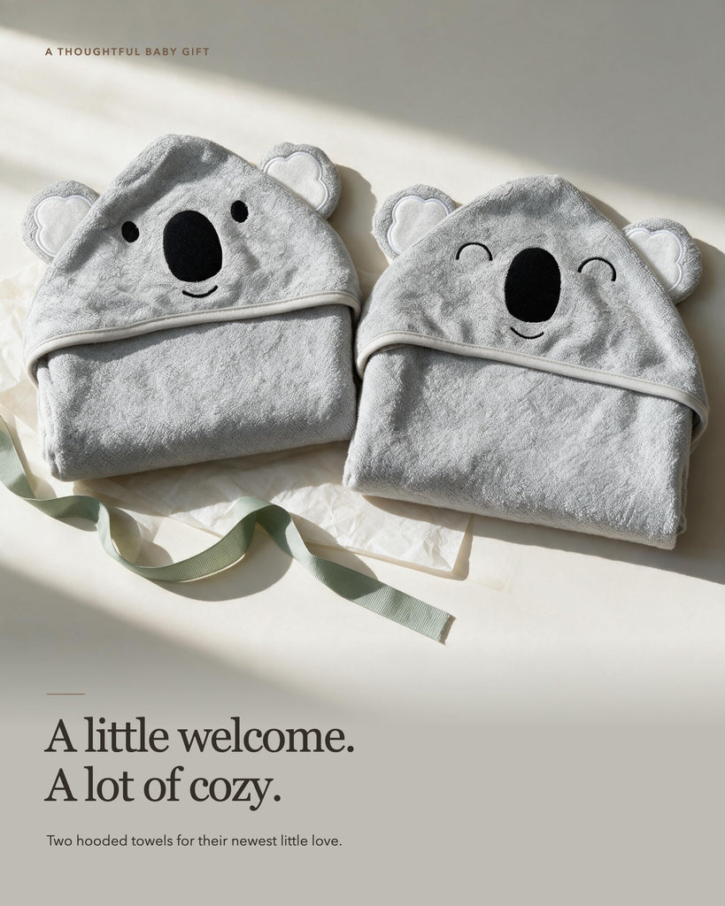 Baby Hooded Towels 2 Pack for Newborn & Toddler - Super Soft Baby Bath Towels with Hood, Highly Absorbent Viscose