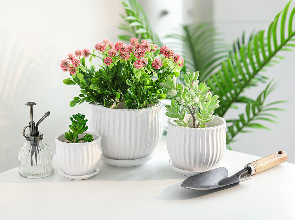 Ceramic Flower Plant Pots with Saucers, Modern Round Ceramic Succulent Planter Pots with White Stripe Texture, Small
