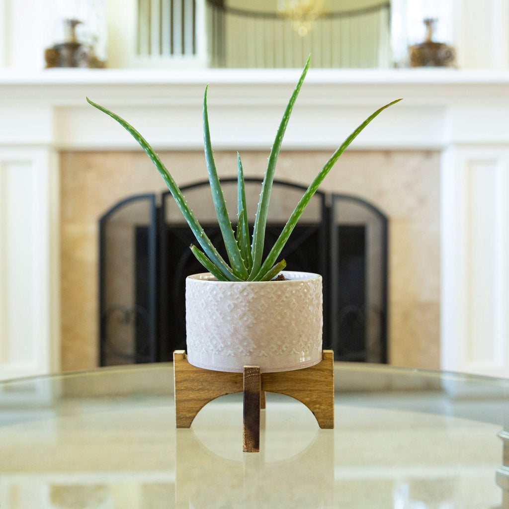 Mid Century 5 inch India Ceramic Planter on Wood Stand, Glass Pink