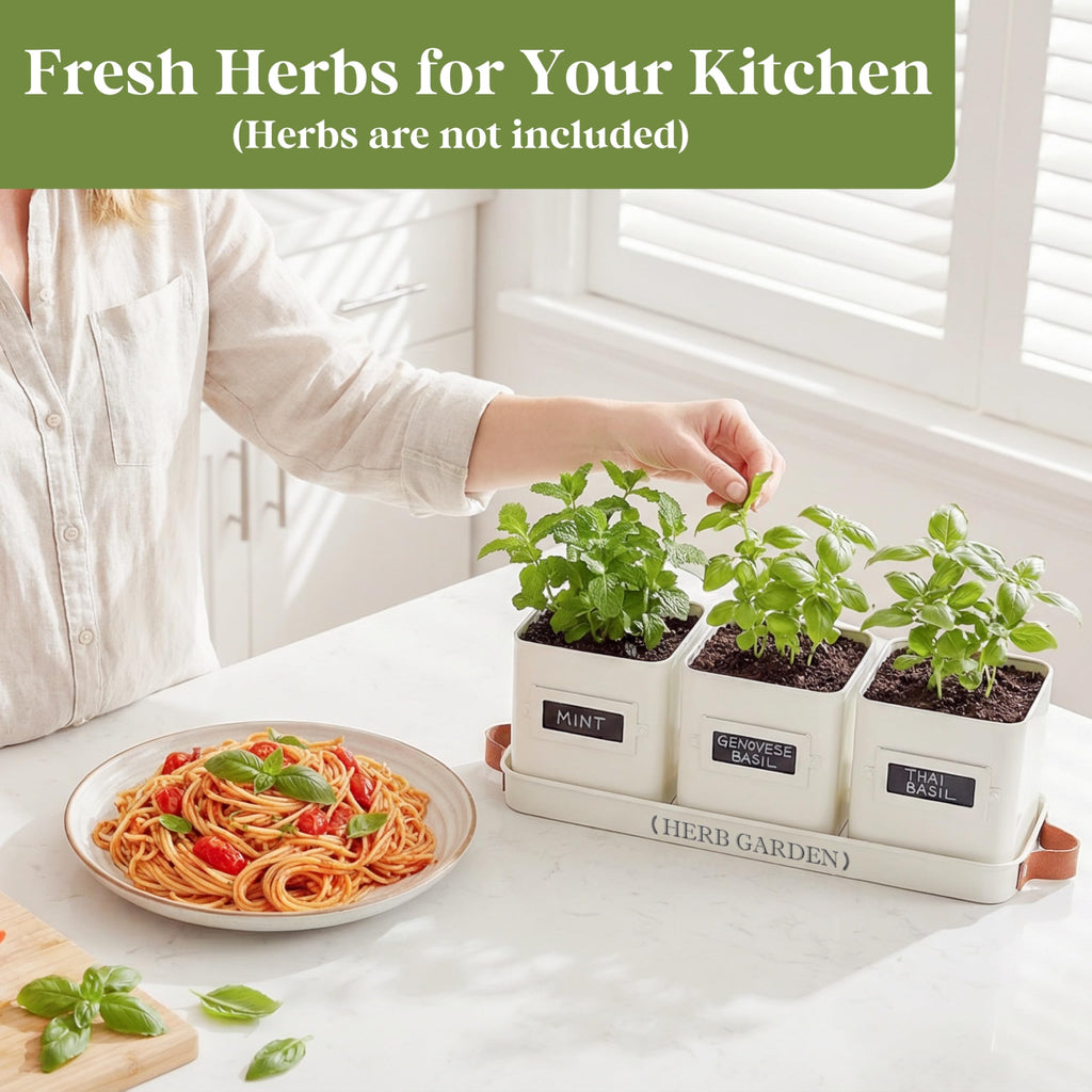 Indoor Herb Garden, Herb Planter Set with Tray, Farmhouse Indoor Plant Pots, Windowsill Herb Garden with