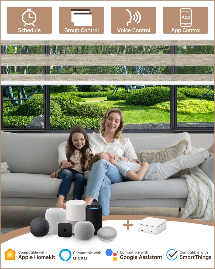 Motorized Blinds with Remote App Voice Control, Custom Zebra Shades
