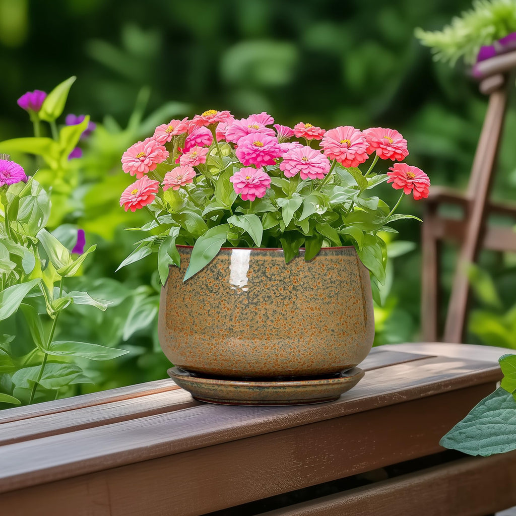 6 Inch Plant Pot - Ceramic Succulent Pots with Drainage and Ceramic Tray, Round Planter for Indoor Outdoor Plants
