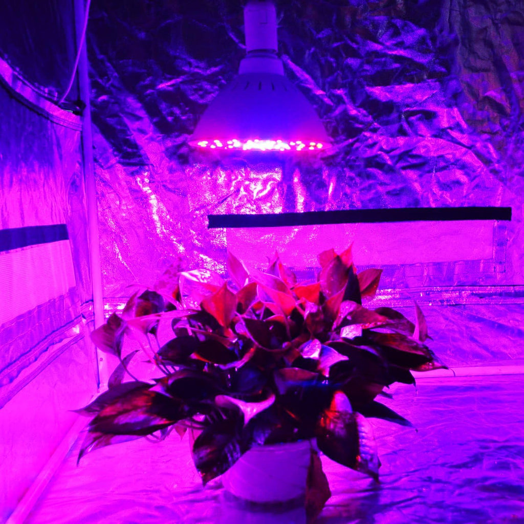 20W PAR56 LED Grow Light Bulb, E26 Base, 110V