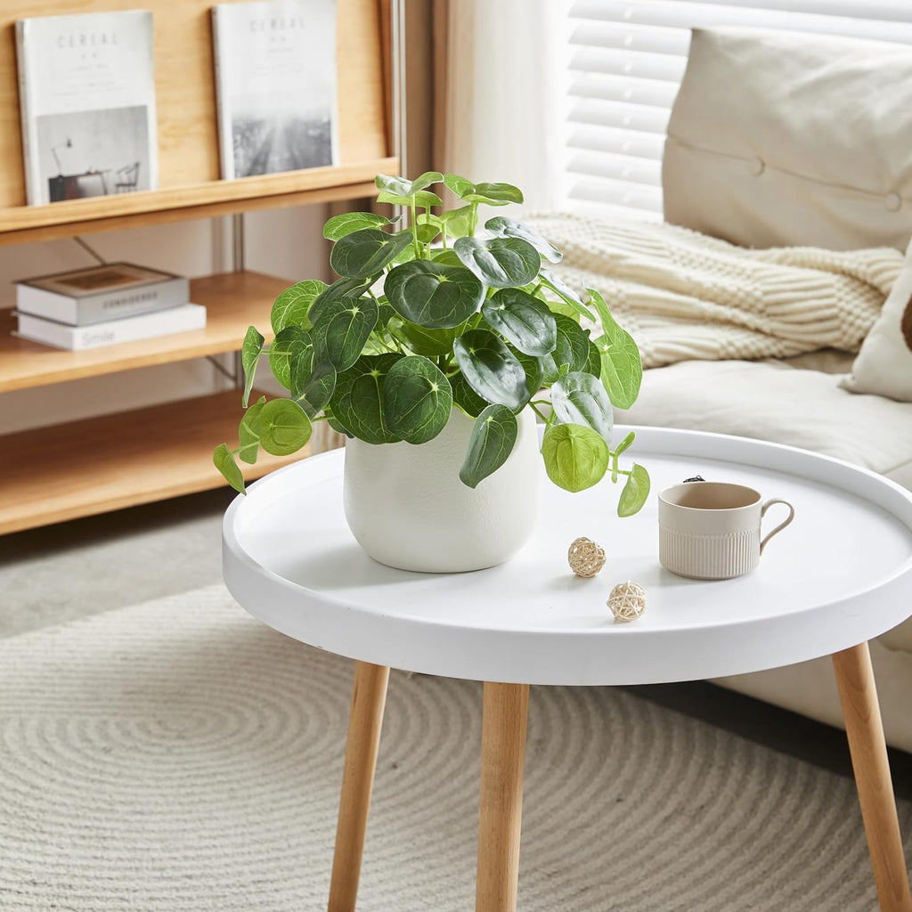 Artificial Pilea Plant - Luxury Potted Money Plant in White Textured Pot with Real Pebbles, Premium Soft Plastic