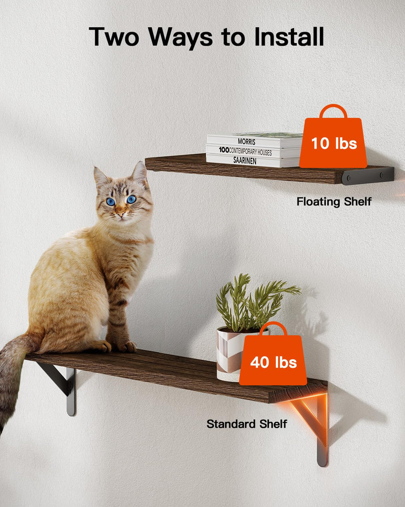 Solid Paulownia Wood Wall Shelves, Large Size, 6 Pcs, Brown