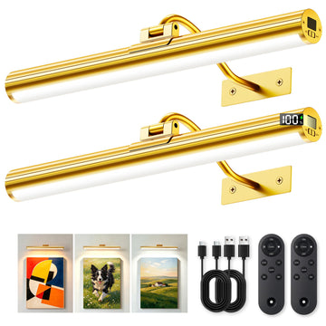16inch Picture Lights for Wall Art 2 Pack,6000mAh Battery,Gold