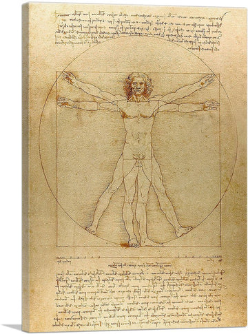 The Vitruvian Man 1485 Canvas Art Print Stretched Framed Painting Picture Poster Giclee Wall Decor by Leonardo da