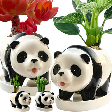 2PC Panda Bamboo Planter Pots-5.7'' Ceramic Animal Planters | Succulent Pots & Drainage Tray-Lucky Bamboo Plant Pots
