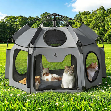 Catio Outdoor Cat Enclosure, 55" Extra Large Catio Pop Up Indoor Outdoor, Portable Cat Playpen Weatherproof