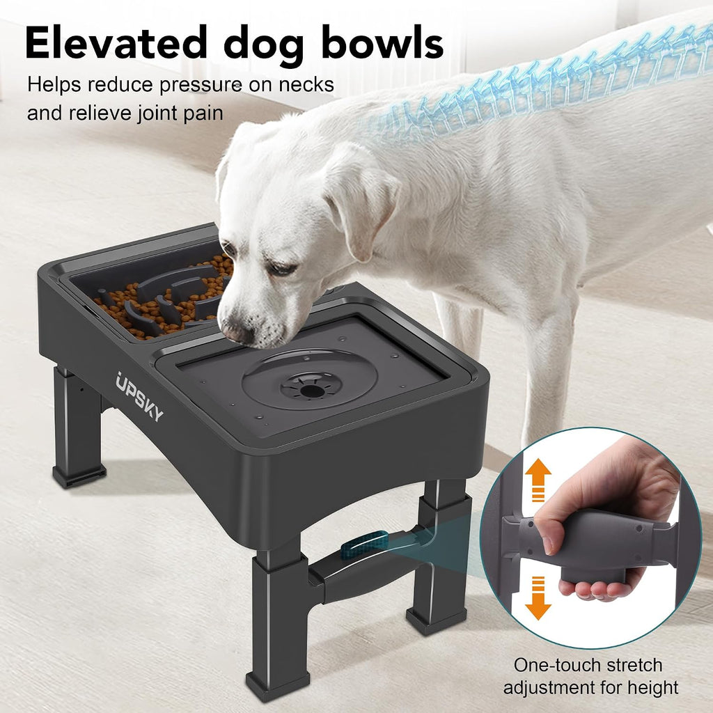 2-in-1 Elevated Dog Bowls Set with 4 Height Adjustable Stand, Balck