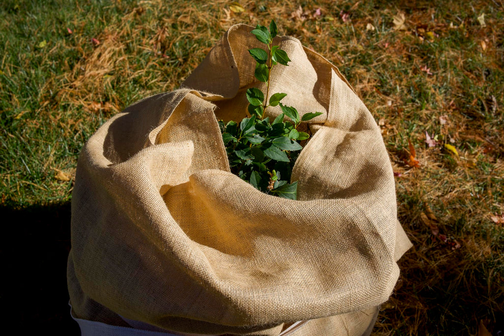 Burlap Garden Fabric (40 Inch x 30 Feet, Natural)