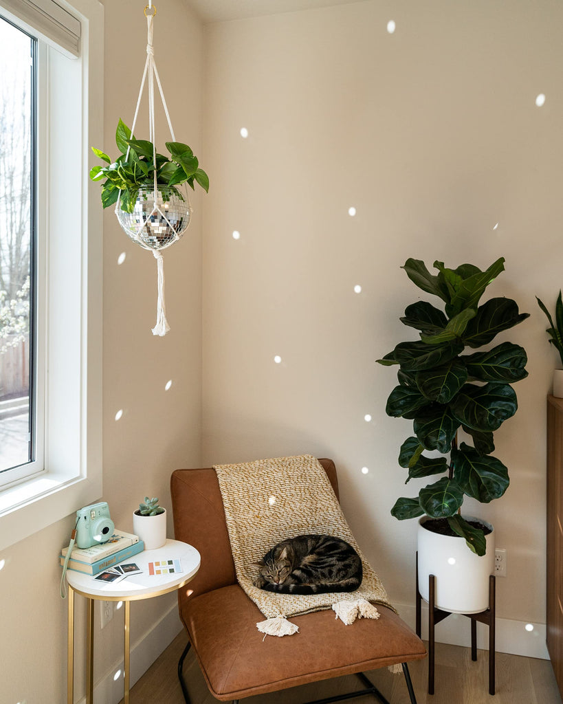 Disco Ball Planter 8" with Acrylic Base and Cotton Macrame Plant Hanger - Décor, Room Décor, Boho Décor, Disco