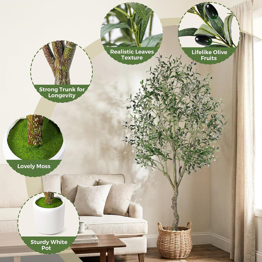 Artificial Olive Tree Indoor 6FT, Tall Faux Olive Tree with White Planter