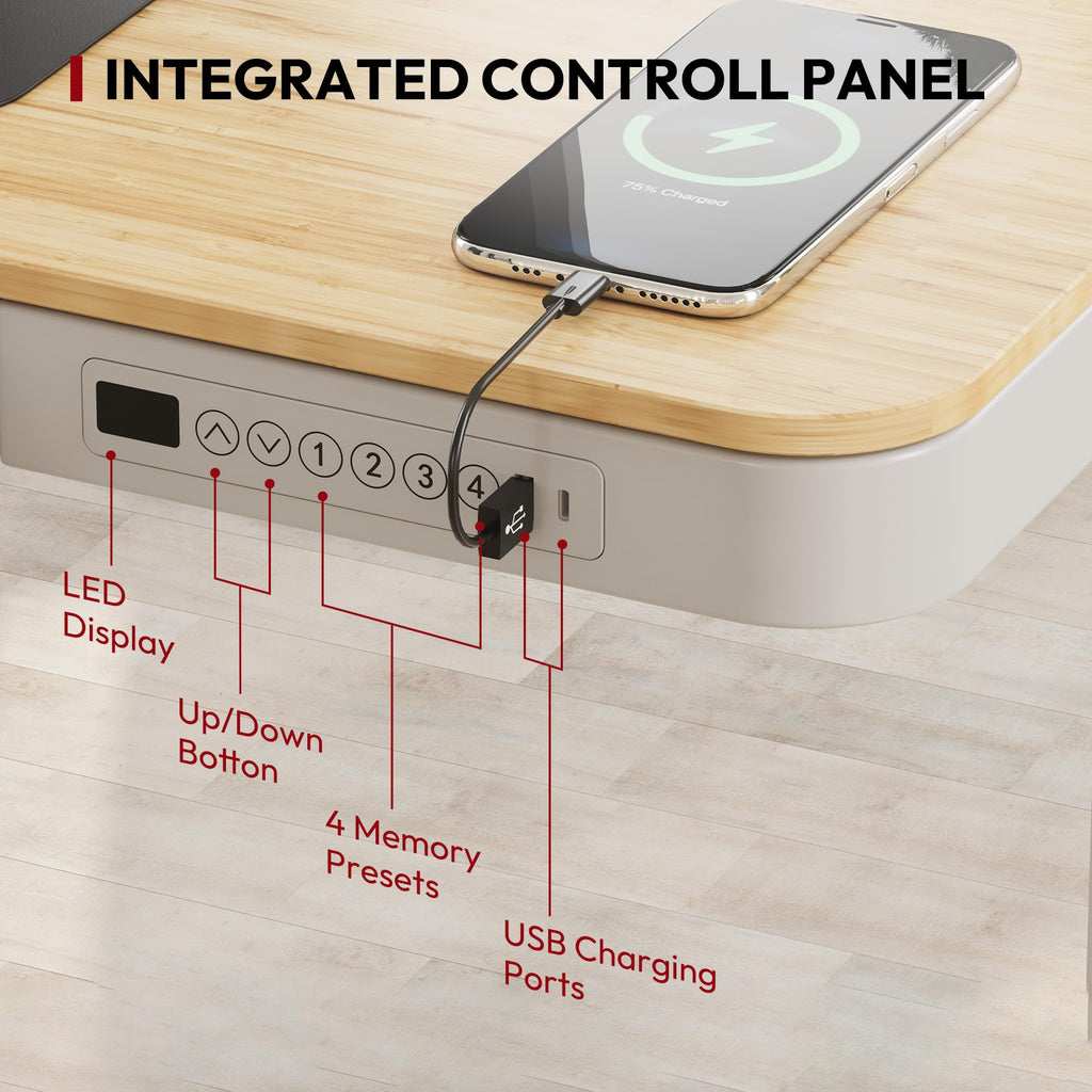 Standing Desk with Drawer, Electric Height Adjustable Home Office Desk with Storage & USB Ports, 48 inch Bamboo