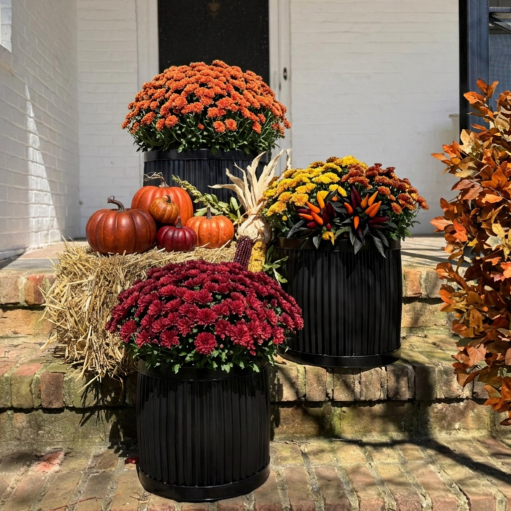 French Country Style Belly Bucket Planters