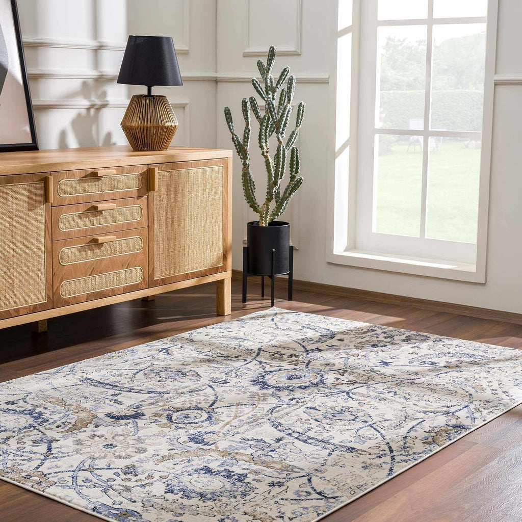 Obsidian Boho Vintage Traditional Damask Area Rug - Farmhouse Traditional Floral Medallion Carpet - Grey, Beige