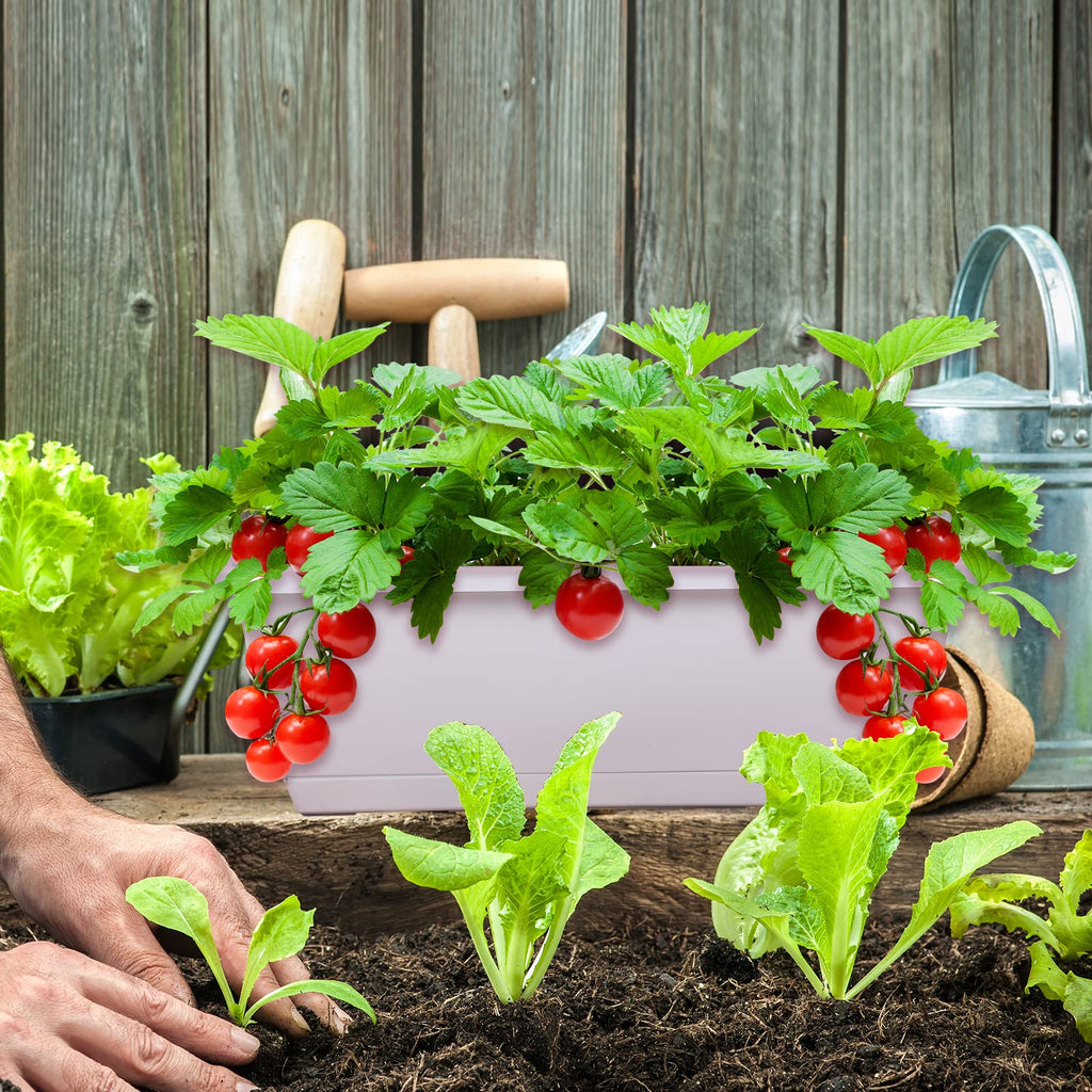 Window Box Planter, 7Pack Plastic Vegetable Flower Planters Boxes
