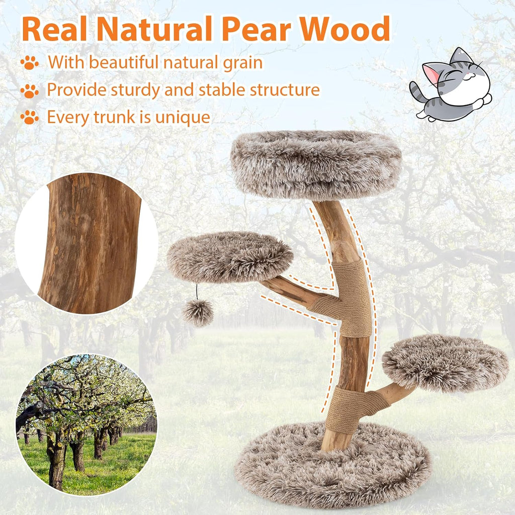 Solid Wood Cat Tree, Multi-Level Modern Cat Tower with Scratching Posts, Cozy Top Perch, 2 Platforms, Dangling Ball