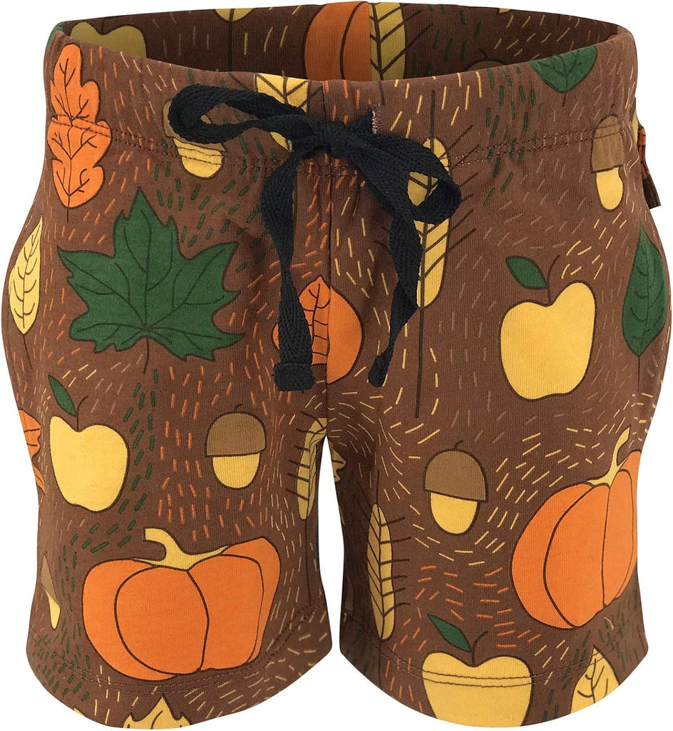 Boys 2pc Shorts Set Outfit Short Sleeve Shirt with Graphic Applique Print and Shorts