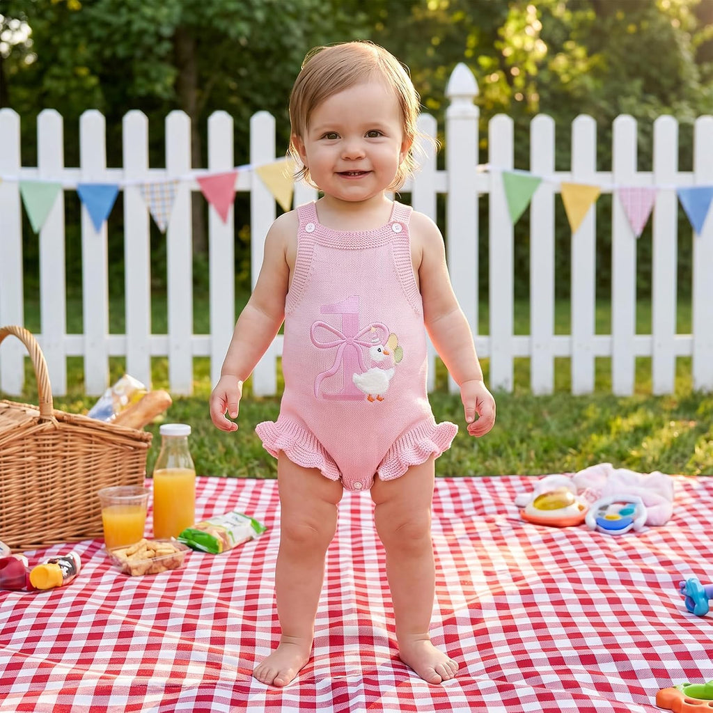 Silly Goose Baby Girl Outfit Sleeveless Knit Sweater Overalls Fall Romper