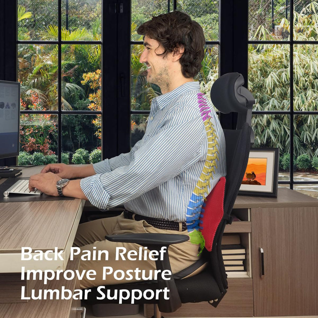 2Pack Inflatable Lumbar Support Pillow Chair and Car Seat, Back Support Cushion with Air Pump for Reducing Lower Back