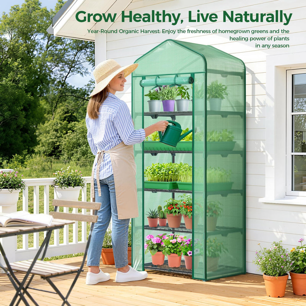 5 Tier Mini Greenhouse for Indoor Outdoor, Durable PE Cover, Seedling