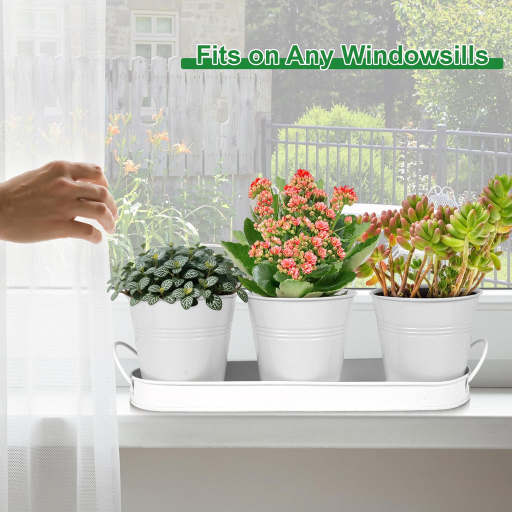 Herb Garden Planter Indoor Kit - 6 Metal Pots with 2 Trays for Windowsill & Kitchen Counter - Modern Decorative