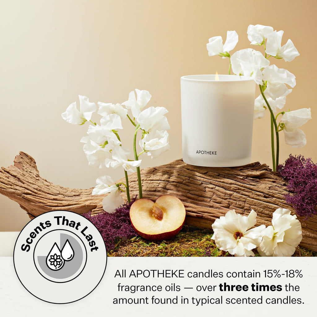 Signature Scented Candles, Fig and Olive Leaf - 10.5 Oz