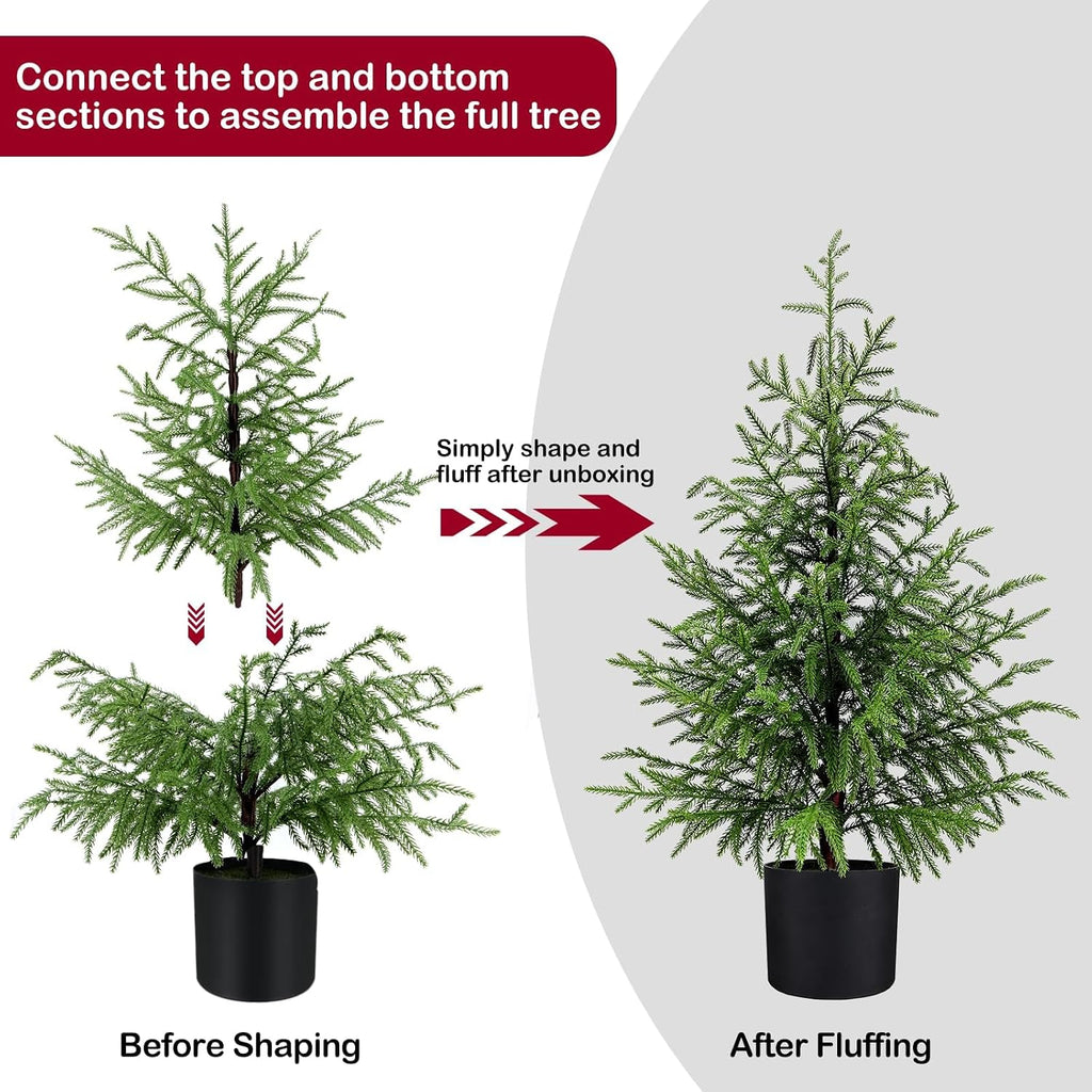 3FT Small Norfolk Pine Christmas Trees, 2-Pack Potted, Unlit