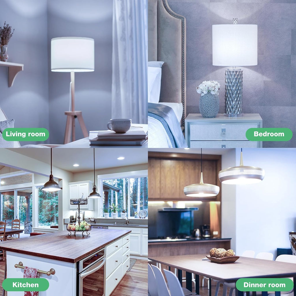 A19 LED Light Bulbs Daylight 5000K, 100 Watt Equivalent LED Bulbs, 1500 LM, 15000 Hours, E26 Base, Non-Dimmable, 13W