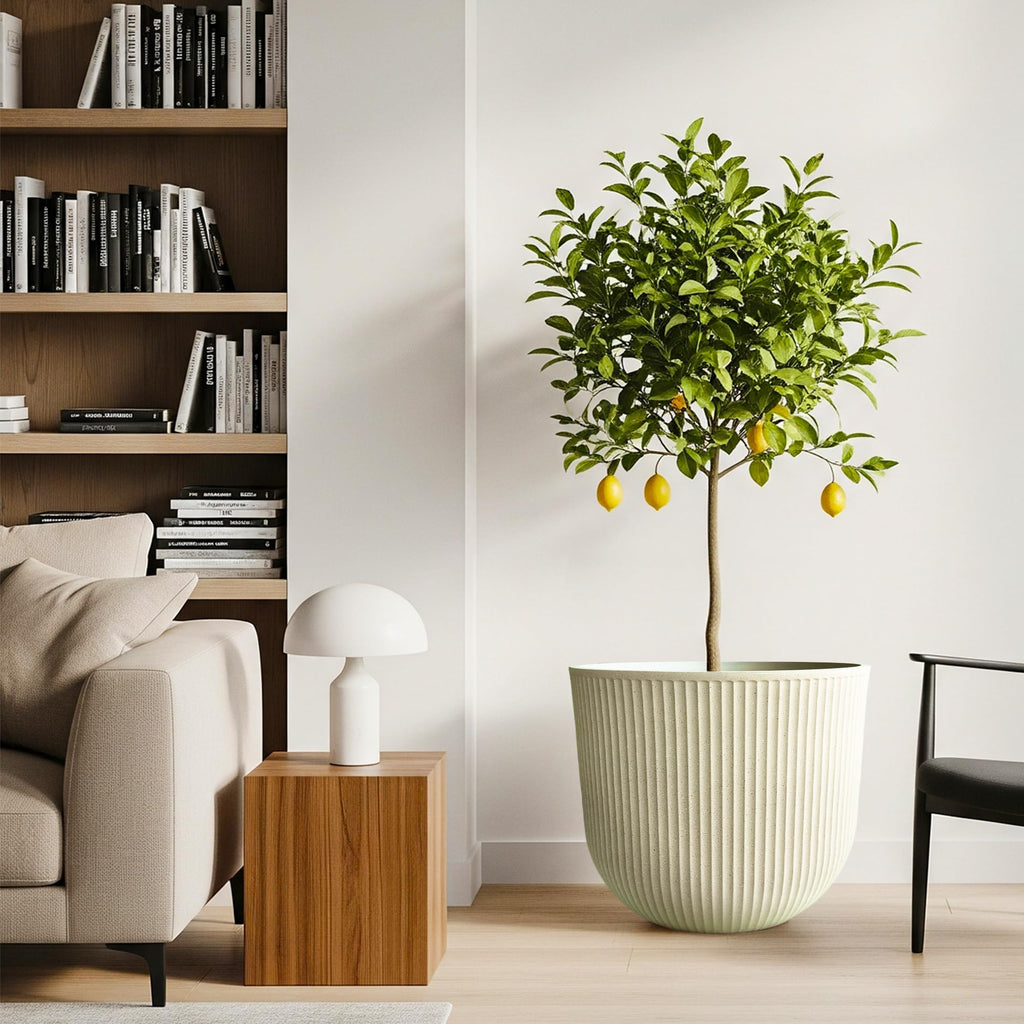 Large Outdoor Planters, Beige Plastic Round Big Plant Pots Set of 2