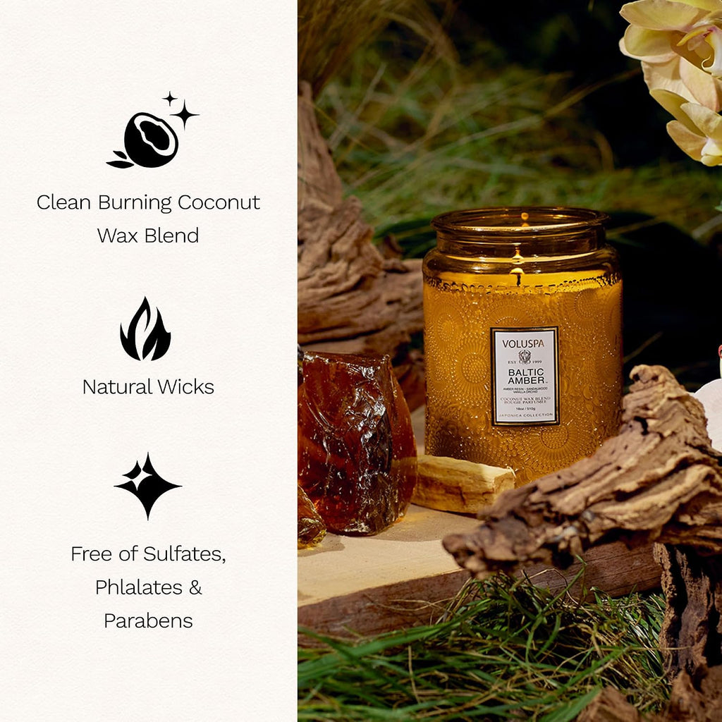 Baltic Amber Large Scented Candle Jar 18 Oz, 100 Hr Burn | Coconut Wax Blend in Decorative Glass, Clean Even Burn