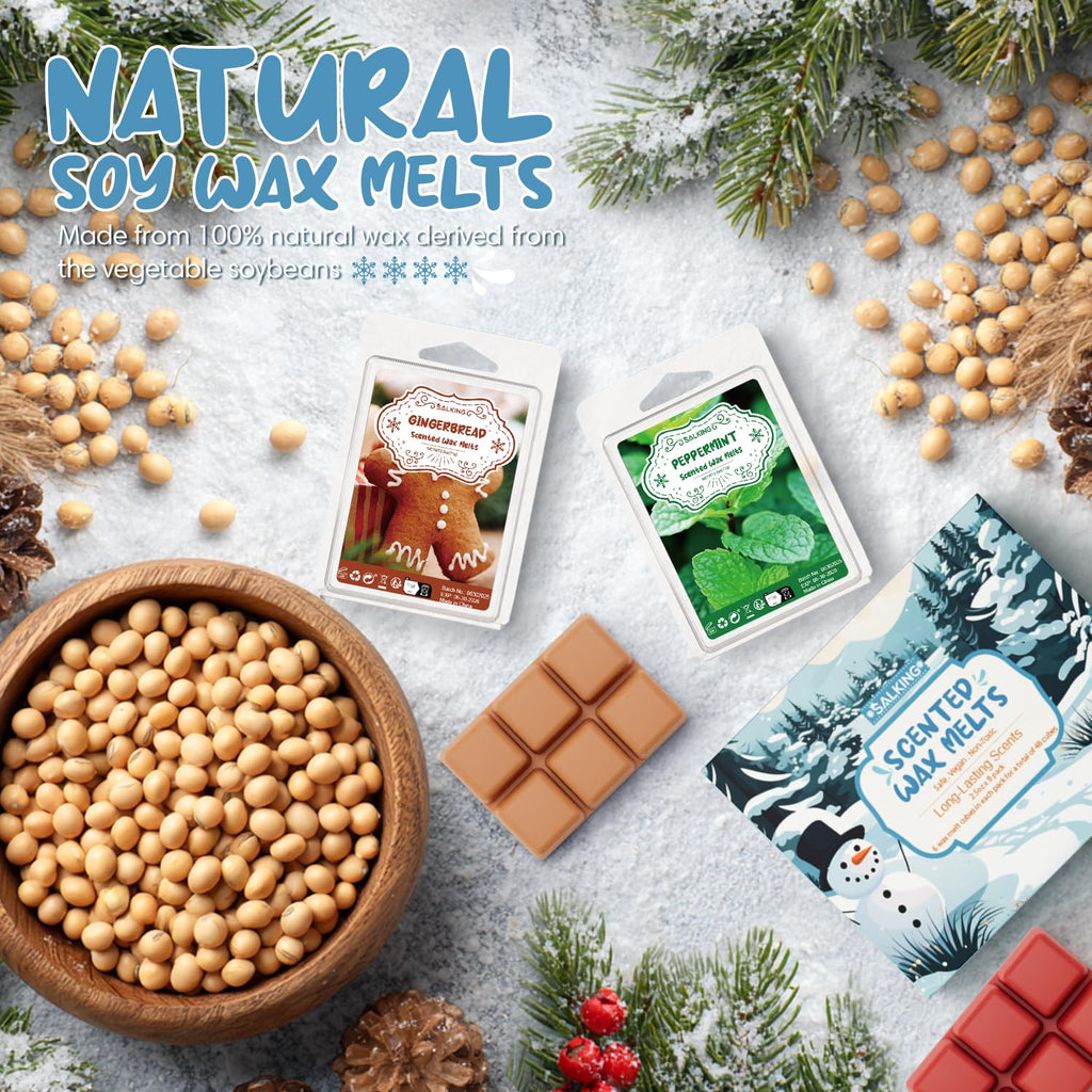 Winter Scented Wax Melts, Christmas Soy Wax Cubes for Wax Warmer