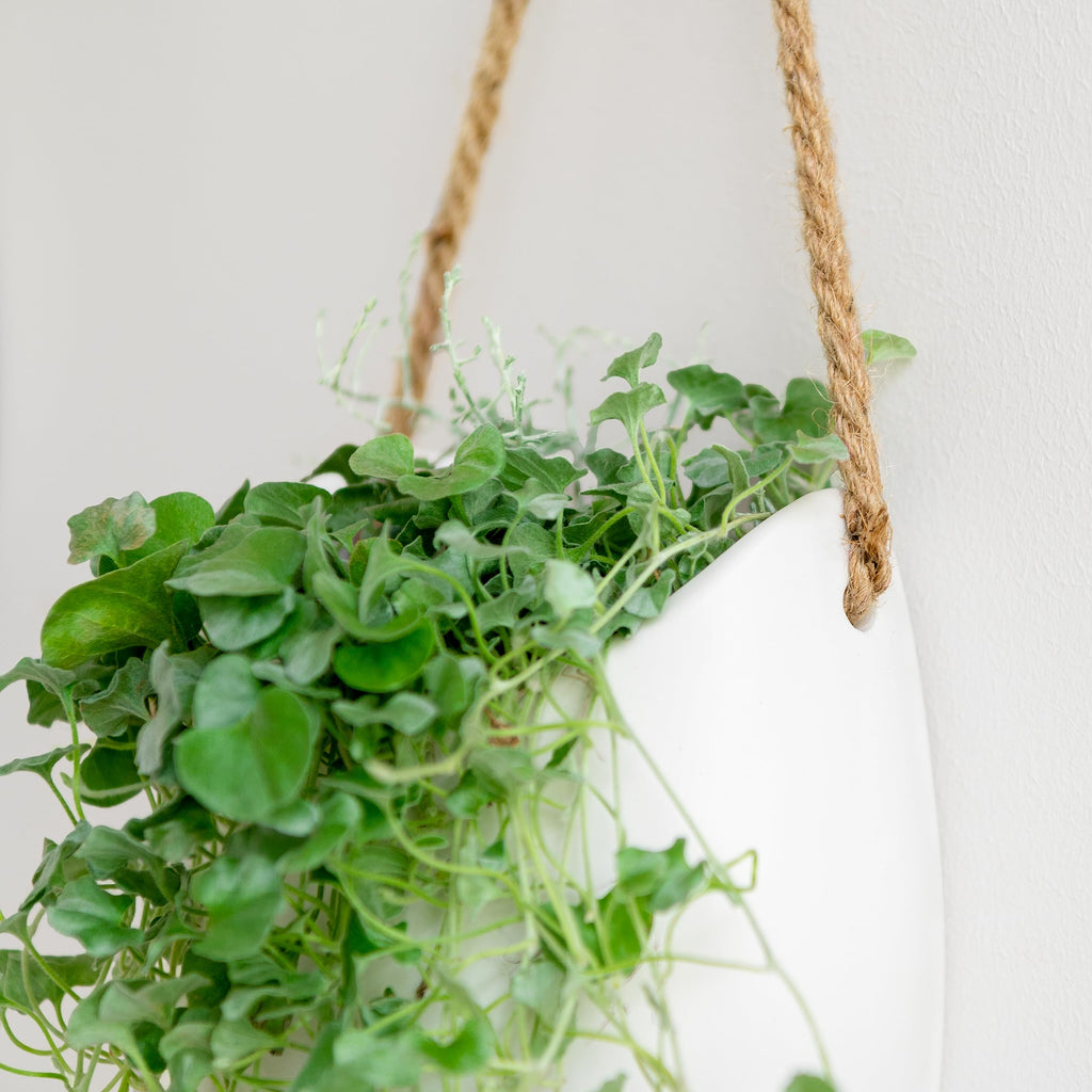 Wall Planters -Ellie - Hanging Ceramic Plant Pots 2 Pieces | Wall Decoration for Indoors, Balcony and Garden | White