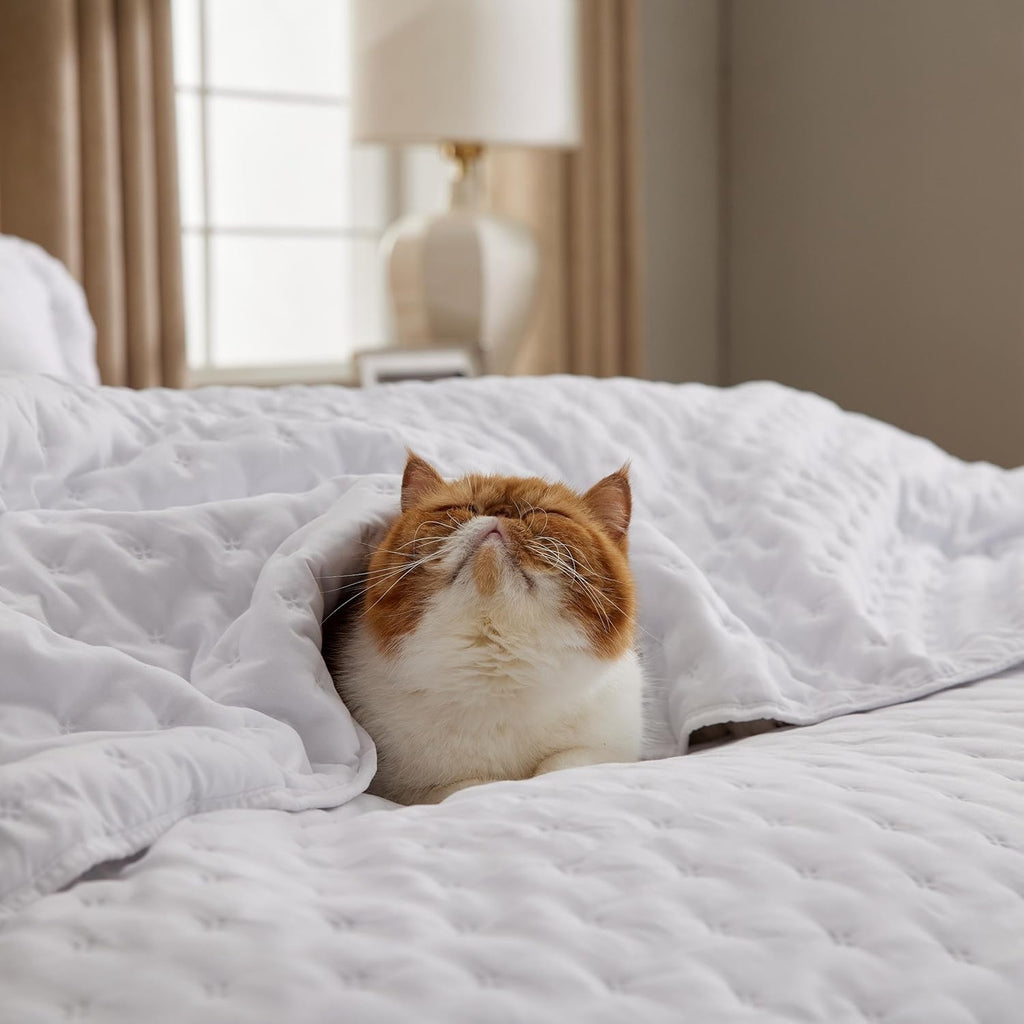 Quilts Queen - Lightweight Comforter Queen for Summer, Bright White Bedspread Quilt with Clover Pattern, Soft