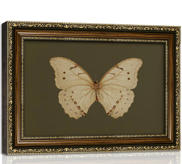 Vintage Gold Framed Butterfly Wall Art, Watercolor Green Prints