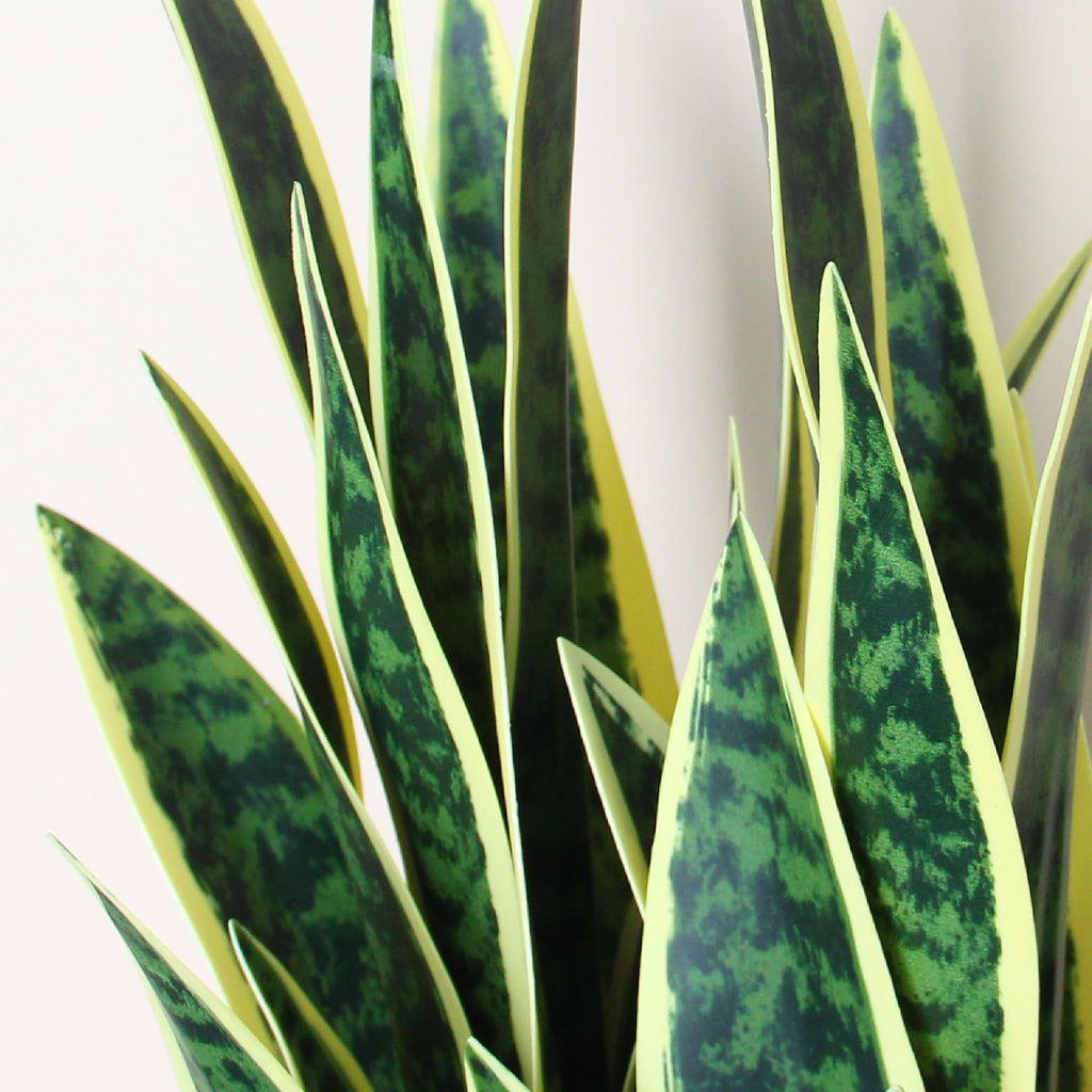 2ft Artificial Snake Plant in Black Pot, 25.6in Faux Sansevieria, Yellow