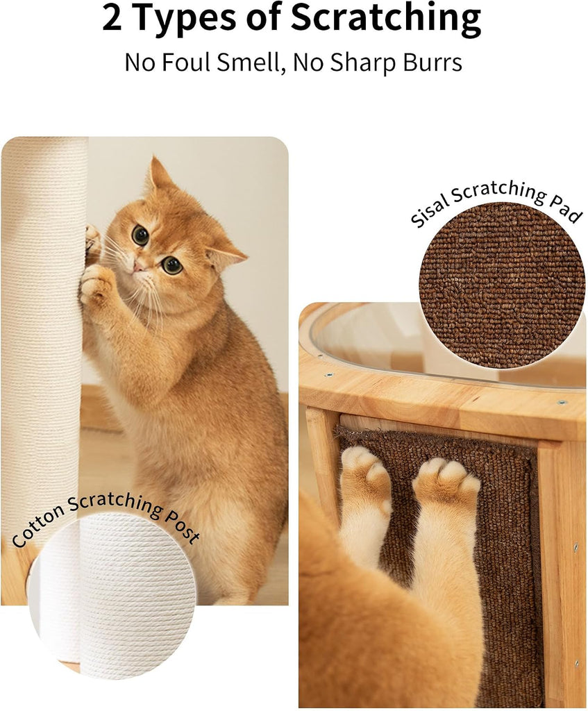 Wood Cat Tree for Large Cats, Modern Cat Tree Tower with Wide Shelves Cotton Scratching Posts, Super Sturdy Base