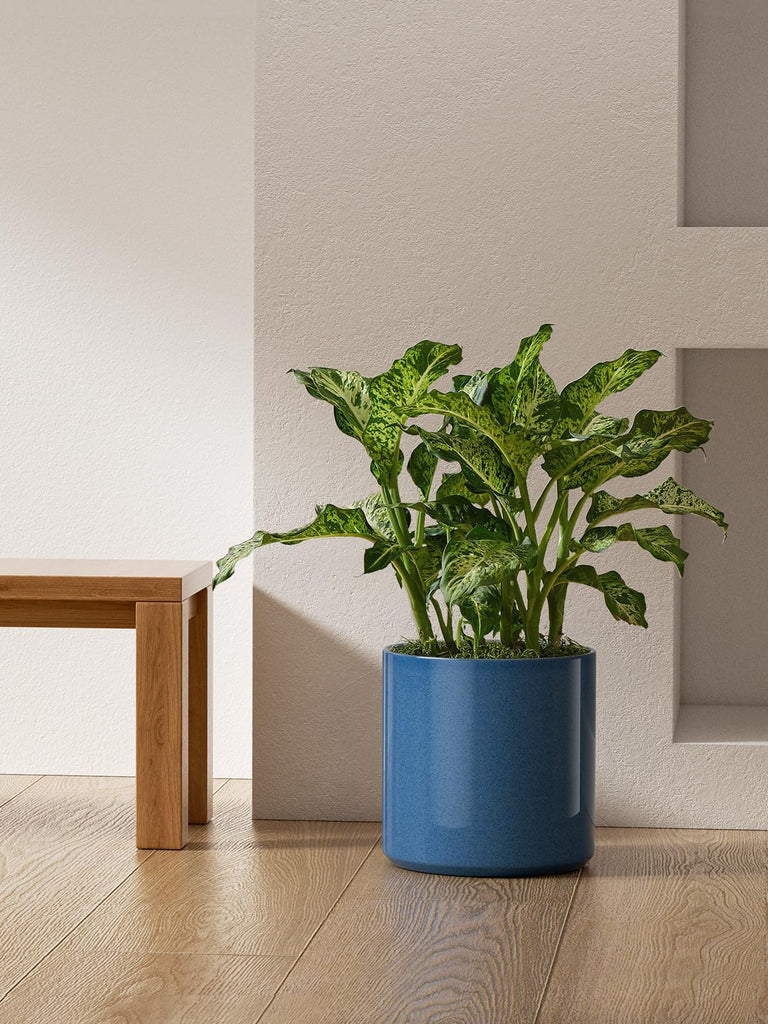 12 Inch Pot for Plants, Ceramic Indoor Planter, Harbor Blue