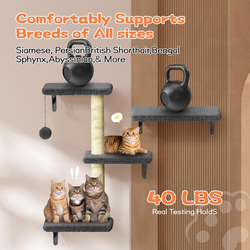 6-in-1 Wall Mounted Cat Climber Set for Heavy Cats, Wall Shelves, Stable & Safe Cat Furniture Set for Large Cats