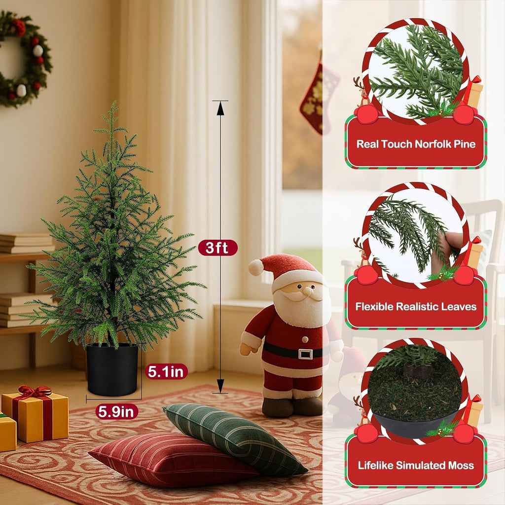 3FT Small Norfolk Pine Christmas Trees, 2-Pack Potted, Unlit