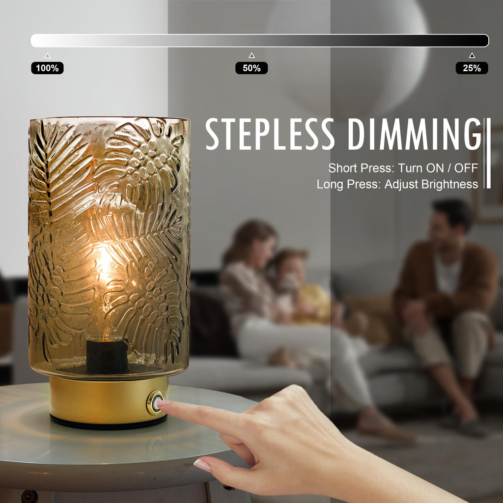 Cordless Lamps Rechargeable Battery Operated lamp,Glass Table Lamp Remote Control-Dimmable Brightness Touch Wireless