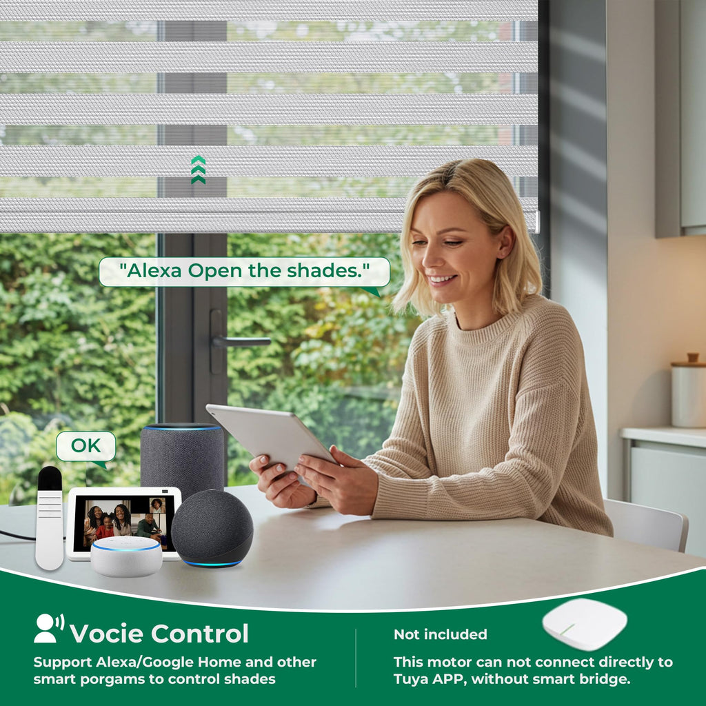Motorized Blinds No Drill with Remote (Silver Gray, )