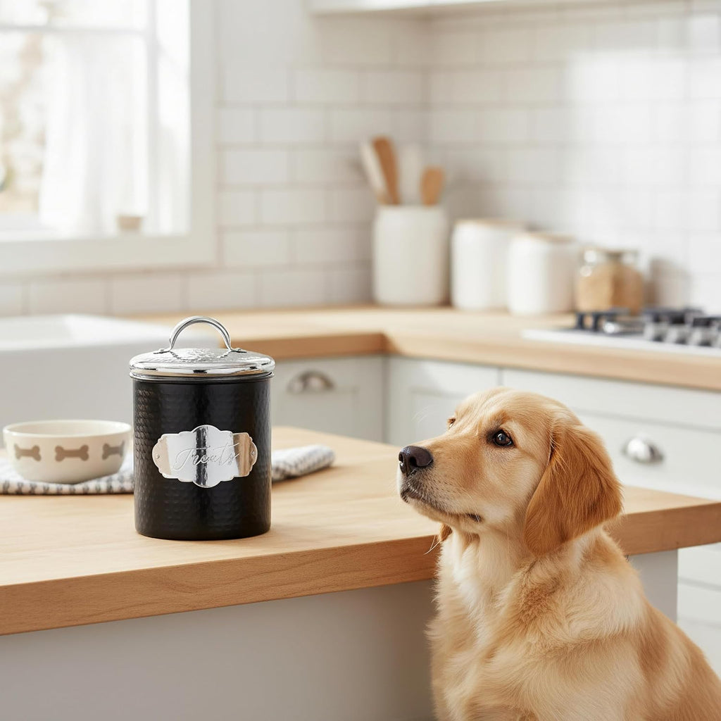 Pet Cavalier Metal Canister Treats Jar, 40 Fluid Ounces, Black and Silver