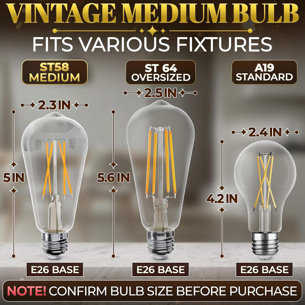 12 Pack Edison Bulbs 60 Watt Equivalent, E26 LED ST58 ST19